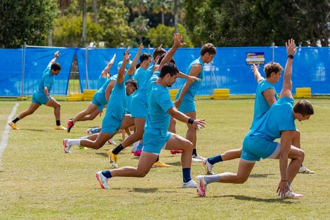 Los Pumas y los demás equipos del Rugby Championship están aislados por un brote coronavirus