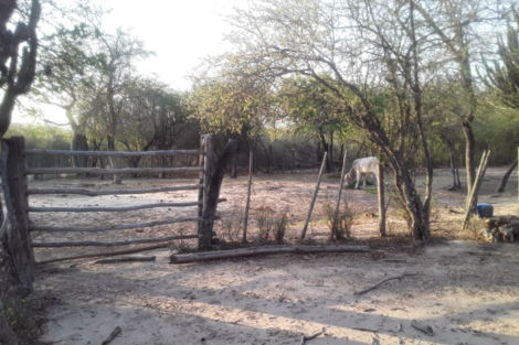 Otro desalojo en tierras obtenidas a 10 dólares la hectárea 