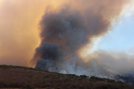 Catamarca: se quemaron  4300 hectáreas de terrenos en lo que va del año