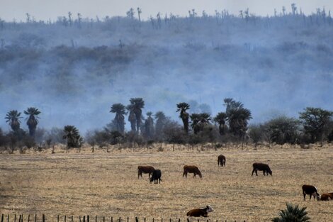 Incendios en Córdoba: sólo queda un foco activo, en la zona de San Pedro Viejo