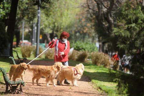 Clima en Buenos Aires: el pronóstico del tiempo para este viernes 8 de octubre