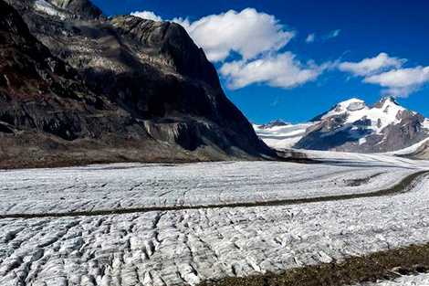 Cambio climático: "no hay freno en el retroceso de los glaciares"