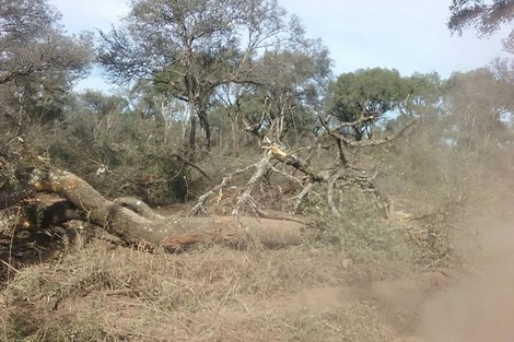 Impiden desmonte en Bañado de Ovanta