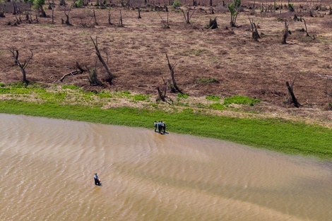 Las islas del Delta del Paraná están en constante fricción entre actores sociales y políticos. 
