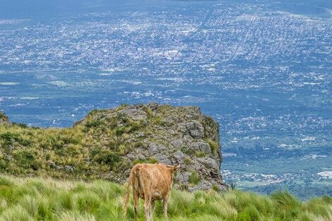 Catamarca es una de las dos provincias que no tiene parques nacionales