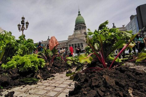 La UTT acampa en el Congreso en reclamo de una Ley de Acceso a la Tierra