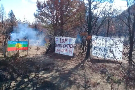 Comunidad mapuche de Cuesta del Ternero: La CIDH pidió informes al Estado argentino 