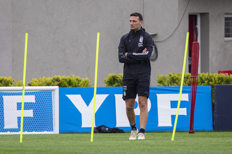 Scaloni prepara la lista para la doble fecha de Eliminatorias