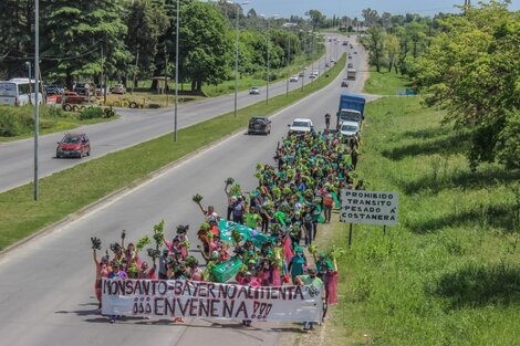 El verdurazo de la UTT frente a las puertas de Monsanto