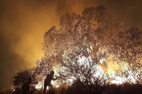 Incendios forestales activos en nueve provincias