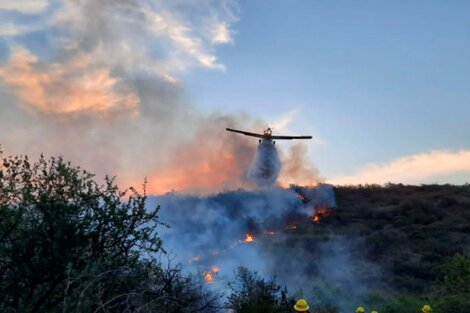 Incendios forestales en ocho provincias