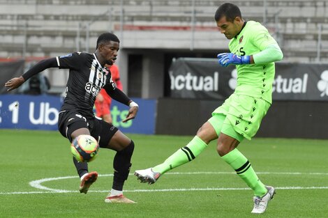 Argentinos en los puestos de arriba de la Ligue 1 de Francia