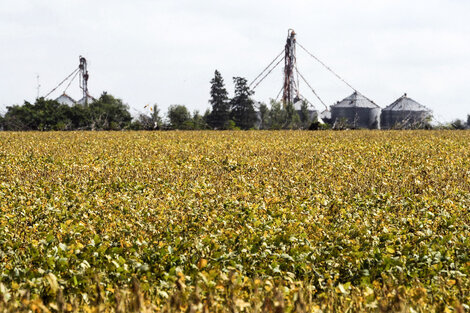 ¿Qué dice el agro frente al cambio climático?