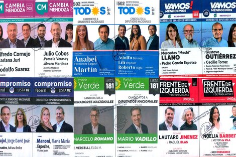 Mendoza: en las elecciones de este 14 de noviembre habrá 7 boletas de candidatos a diputados y senadores en el cuarto oscuro. 