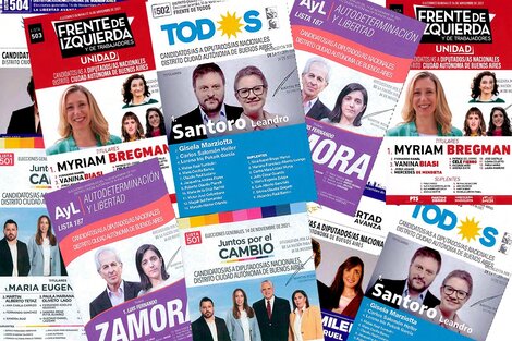 En CABA en las elecciones de este 14 de noviembre habrá 5 boletas de candidatos a diputados en el cuarto oscuro. 