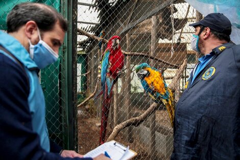 Zoo de Luján: la Defensoría del Pueblo denunció penalmente al dueño