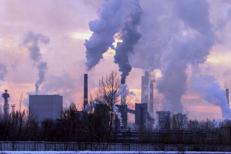 Para la ONU, vivir en un ambiente sano y sin contaminación es un derecho humano