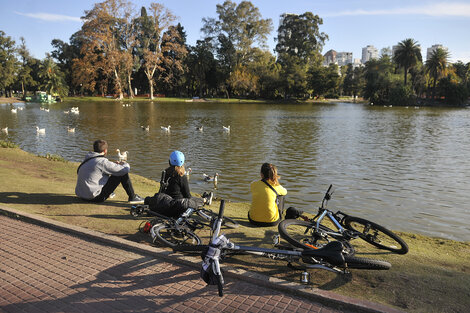 Clima en Buenos Aires: cómo estará el tiempo este sábado 13 de noviembre