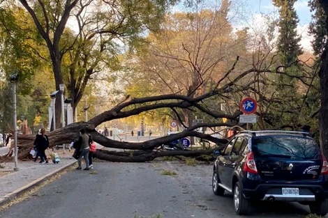 Fuerte temporal de viento, lluvia y granizo en Mendoza