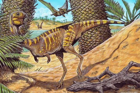 Nueva especie de dinosaurios: Descubrieron a un "pariente" del Tiranosaurio Rex con pico