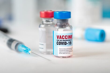 Se busca reproducir en la medida de lo posible la inmunidad adquirida a través de una infección natural. (Fuente: AFP)