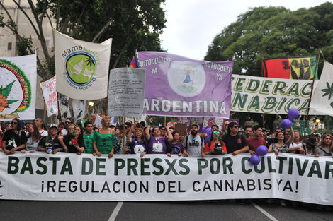 Cannabis medicinal: a las calles por la liberación