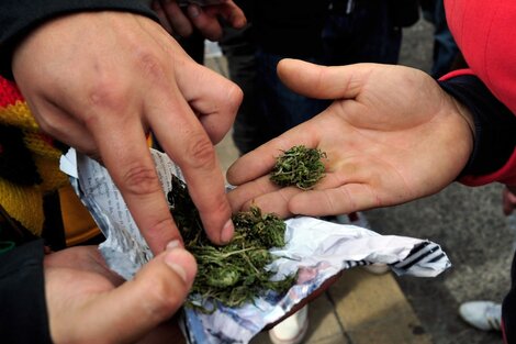 Según un estudio de la Universidad de Düsseldorf, la legalización del cannabis aportaría al estado alemán unos ingresos adicionales de 4.700 millones de euros.