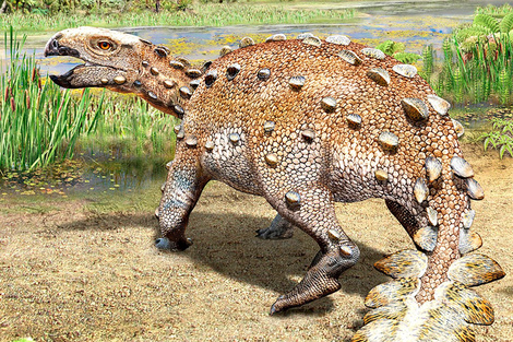 Descubrieron un nuevo dinosaurio que tiene una gran cola con forma de hacha