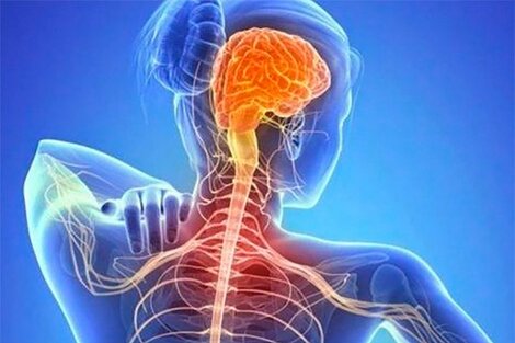 ELA: descubren la estructura de la molécula asociada a la enfermedad