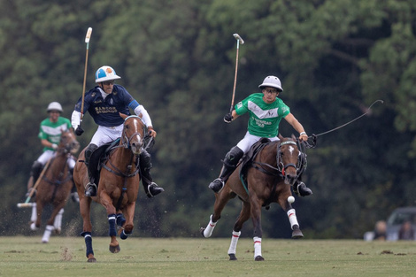 Abierto Argentino de polo: se juega la final entre La Dolfina y La Natividad