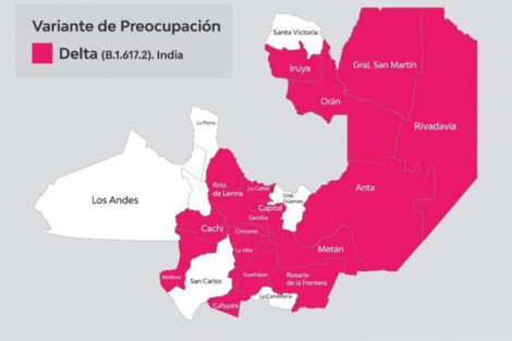 Detectaron otros 6 casos de la variante Delta