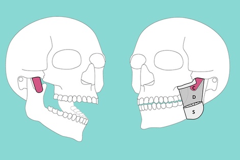 Científicos identificaron una nueva parte del cuerpo humano