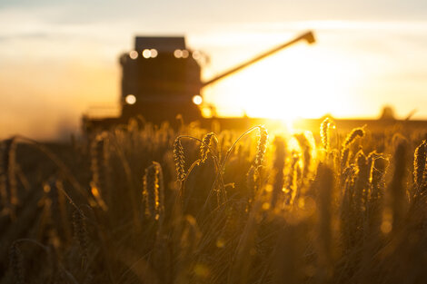 El agro argentino se caracteriza por tener propietarios herederos. (Fuente: AFP)