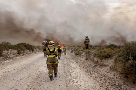 Incendios en el país: refuerzan las tareas ante la ola de calor