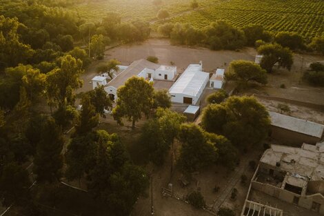 Se viene la eficiencia en riego y gas