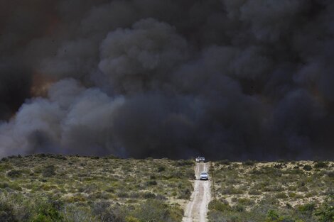 Incendios forestales: declaran la emergencia ígnea nacional