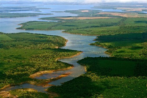 Los Esteros del Iberá, entre las diez opciones turísticas de 2022 para The New York Times