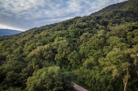 Catamarca tiene la diversidad climática más amplia del país