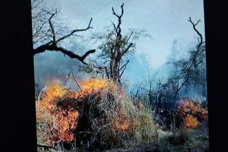 En Rivadavia aseguran que el incendio está fuera de control 