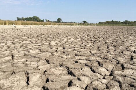 ¿Cómo se mide el modelo agrícola?