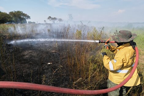 Tres provincias con incendios forestales activos