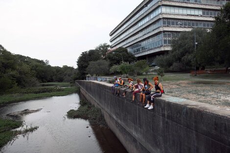 Cuarta Bienal de Performance, romper las fronteras