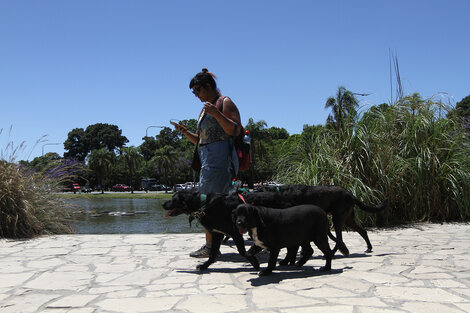 Clima en Buenos Aires: el pronóstico del tiempo para este miércoles 2 de febrero