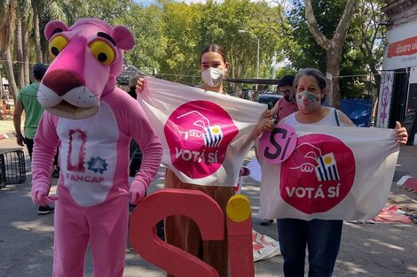 Uruguay: la Pantera Rosa, protagonista de las protestas contra la LUC de Lacalle Pou