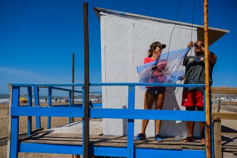 Banderas con la imagen de las Malvinas flamearán en todos los balnearios de Mar del Plata 