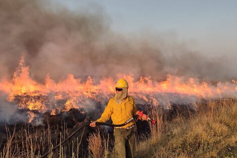 Corrientes, arrasada por los incendios forestales