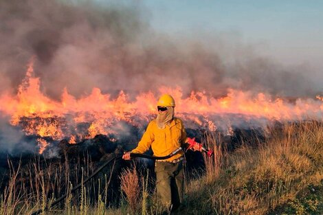 Incendios forestales: focos activos en Río Negro y Corrientes 