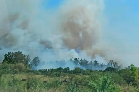 Incendios en Corrientes: evacuaron casas y un hotel ante el avance del fuego