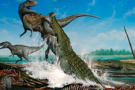 Descubren los restos de un dinosaurio en el interior de un cocodrilo  fosilizado | Son piezas del Cretácico identificadas en Australia | Página12