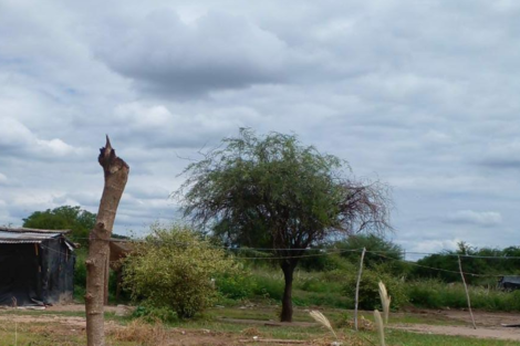 Niña wichí de dos años falleció por un cuadro respiratorio y bajo peso